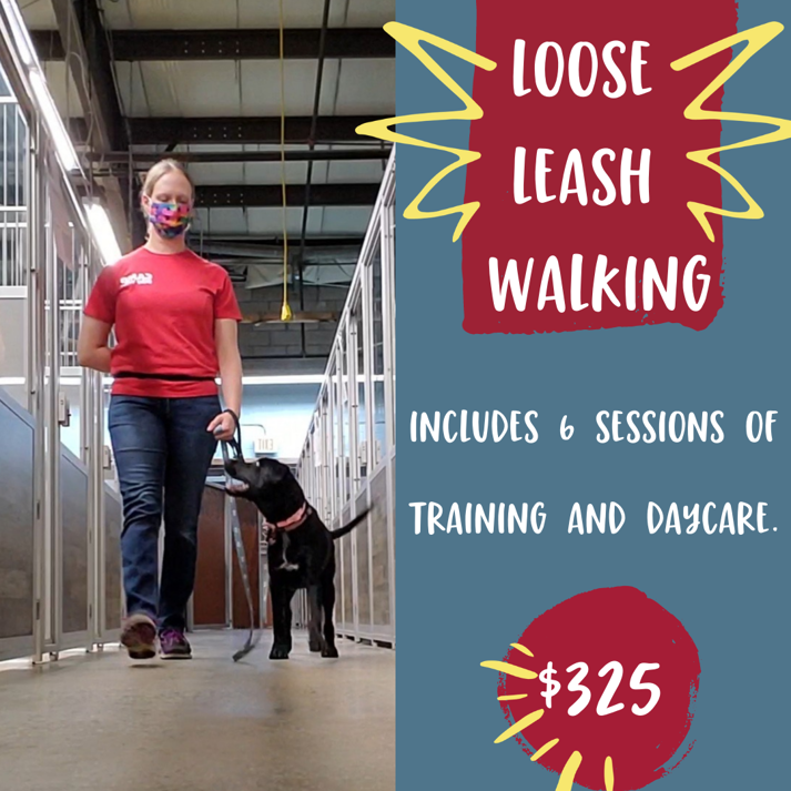 Midland Park Dog Care Services Dog Day Care in Midland Park